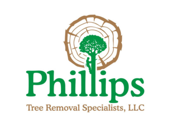 Phillips Tree Removal Specialists 